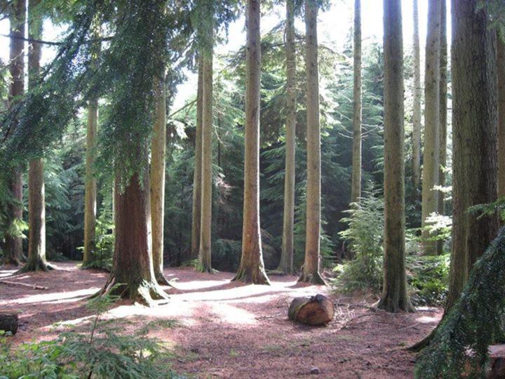 Willa Moonfleat West Quantoxhead Zewnętrze zdjęcie